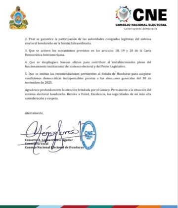 Carta OEA 3
