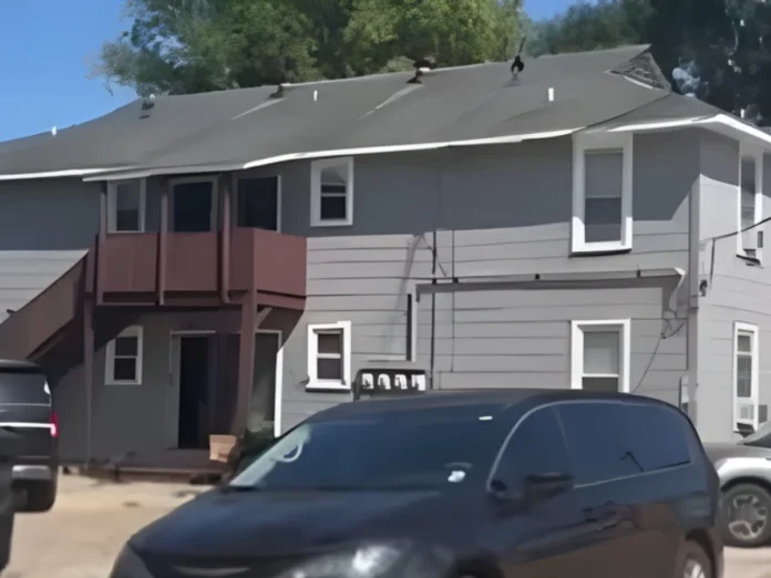 tres hondureños de traficar mujeres WhatsApp