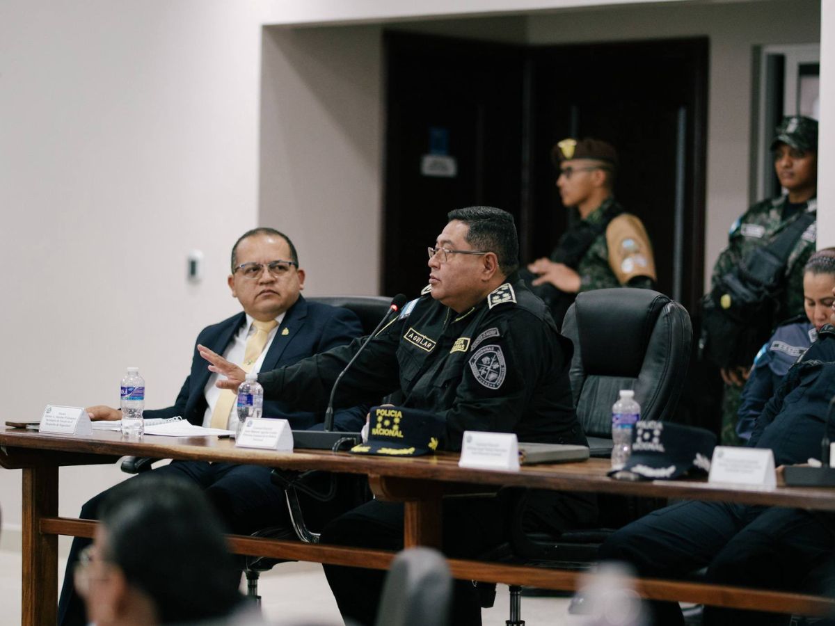 FFAA Policía Nacional Elecciones (2)