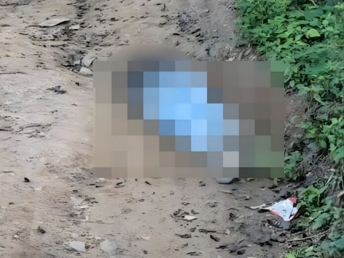 Hallan sin vida a un hombre en El Porvenir, Francisco Morazán