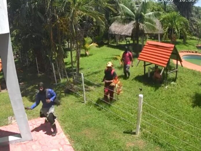 Invasión Colón Tela Canaturh