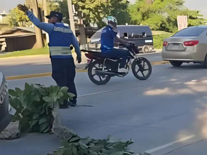 Atropellan a mujer mientras se dirigía a su trabajo en San Pedro Sula