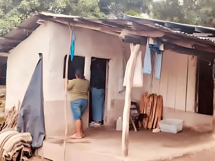 Menor muere luego que le cayera una rama en Yoro