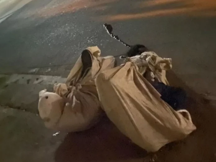 Encuentran dos cuerpos Torocagua