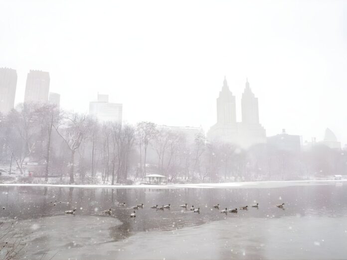 Tormenta invernal pone en alerta a 46 millones en EE. UU.; vuelos y carreteras afectadas