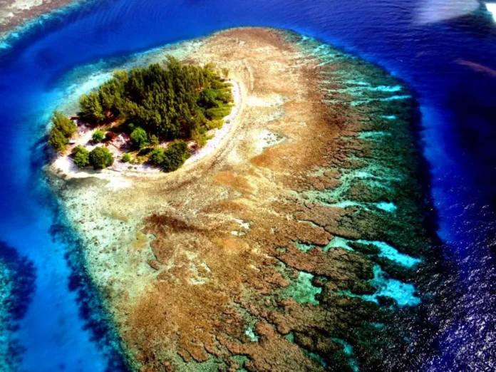 Estafador de festival en EE.UU. planea evento en Útila