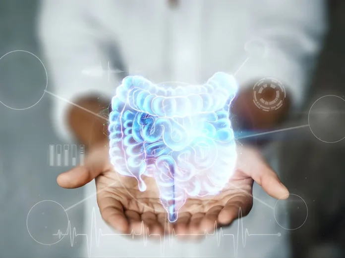 El alcohol altera la microbiota intestinal en apenas 30 minutos