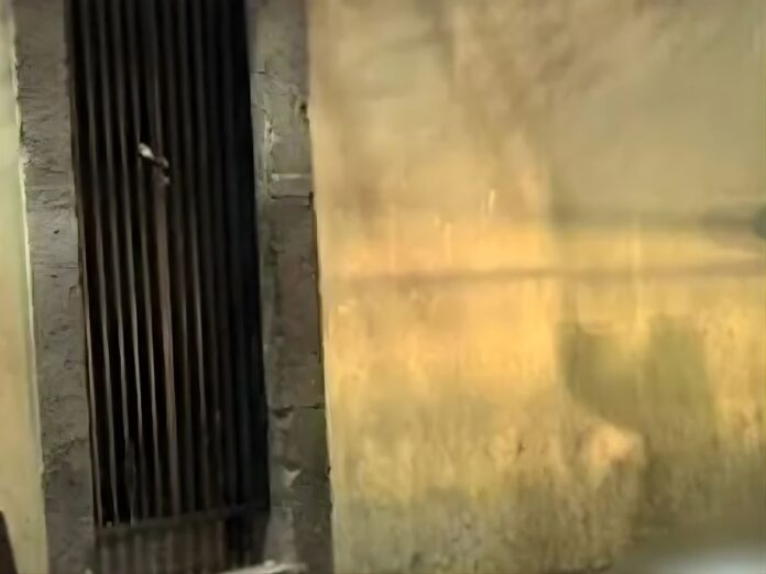 Asesinato en Tegucigalpa