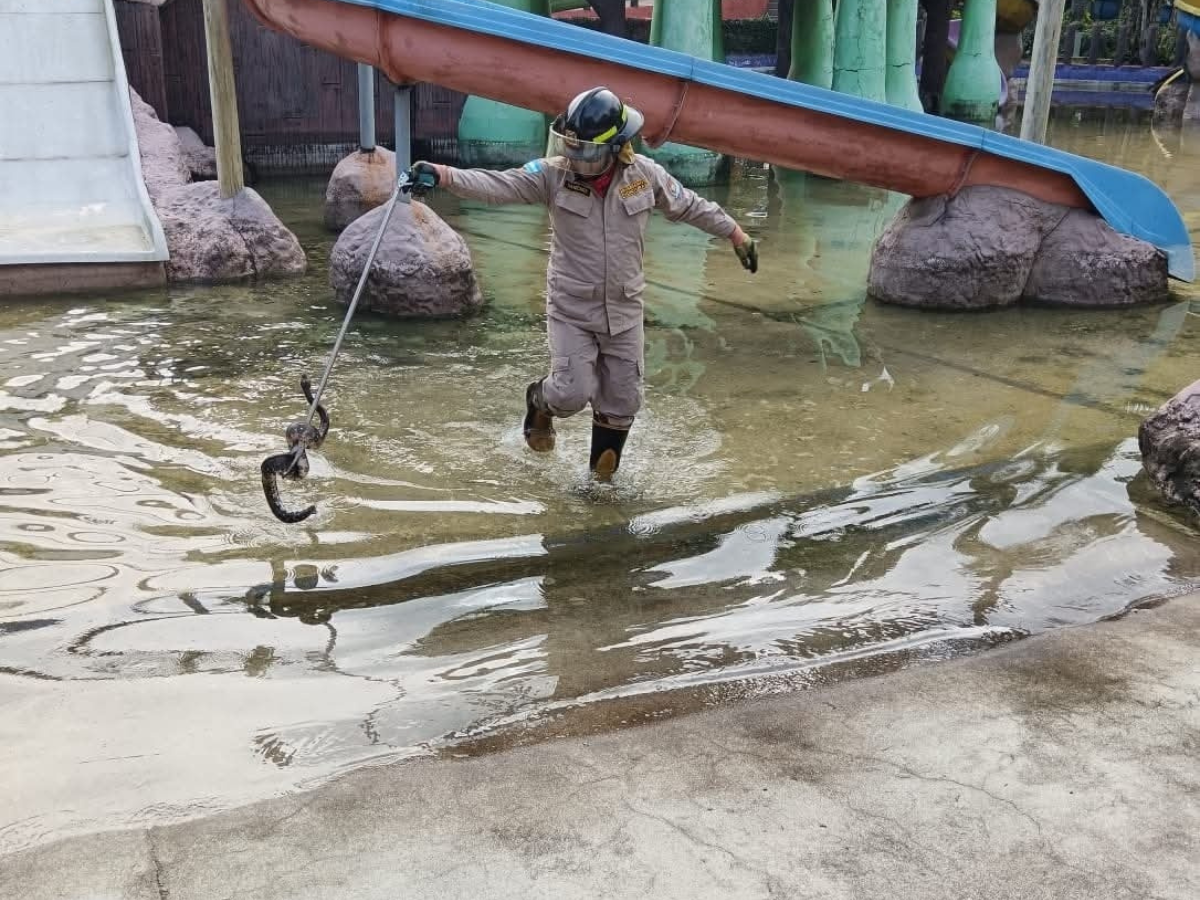 boa encontrada balneario en San Pedro Sula