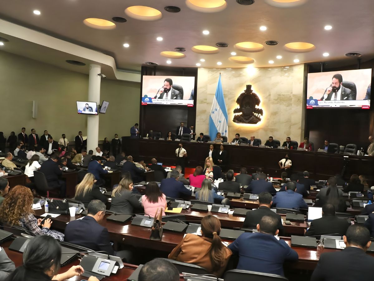 Así se integrarían las bancadas del Congreso Nacional 2026–2030