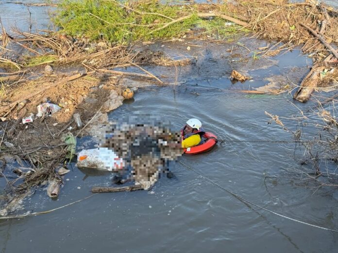 Cadáver hombre flotando río Ulúa