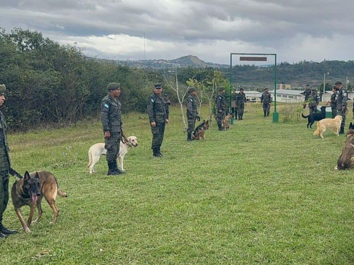 Con honores militares despiden a “Luna”, valiente policía canina de la PMOP