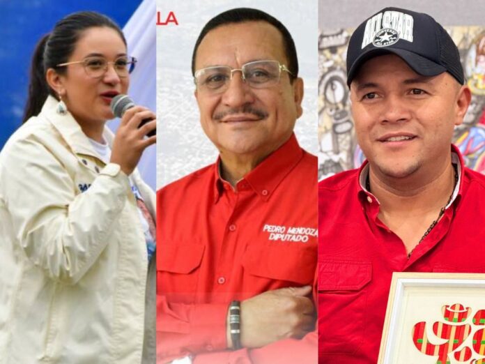 Diputados electos El Paraíso