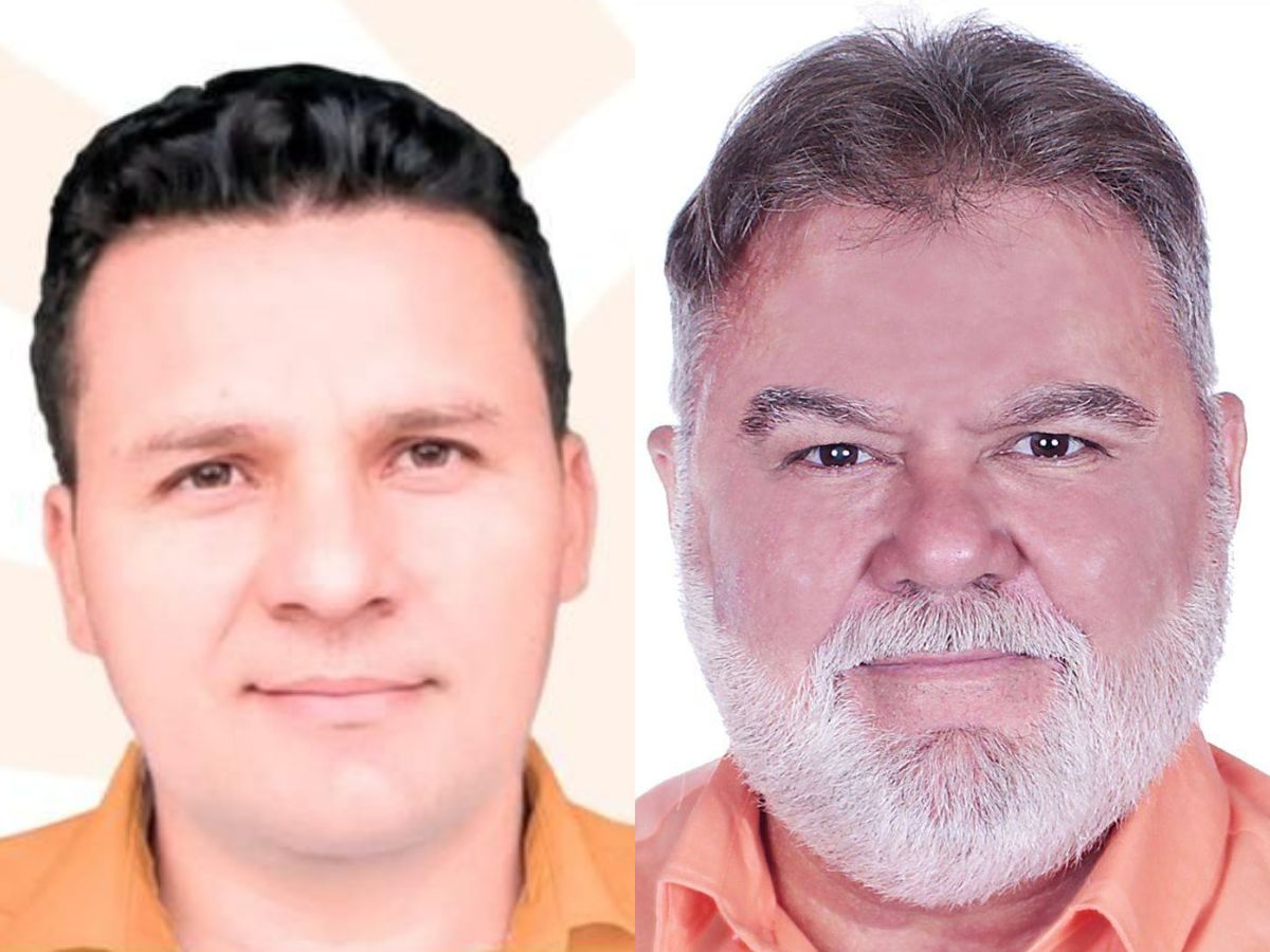 Diputados electos PINU