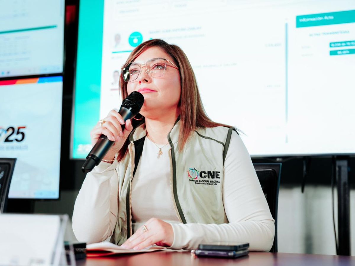 CNE responsabiliza a ASD-SAS por fallas en el sistema de transmisión