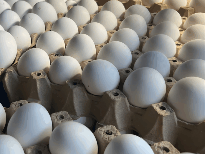 Aumenta el precio de los huevos