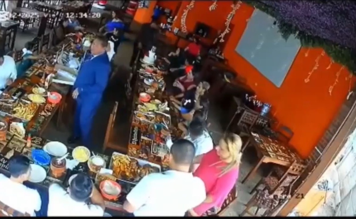 Violenta agresión contra un gato en un restaurante de Honduras causa indignación
