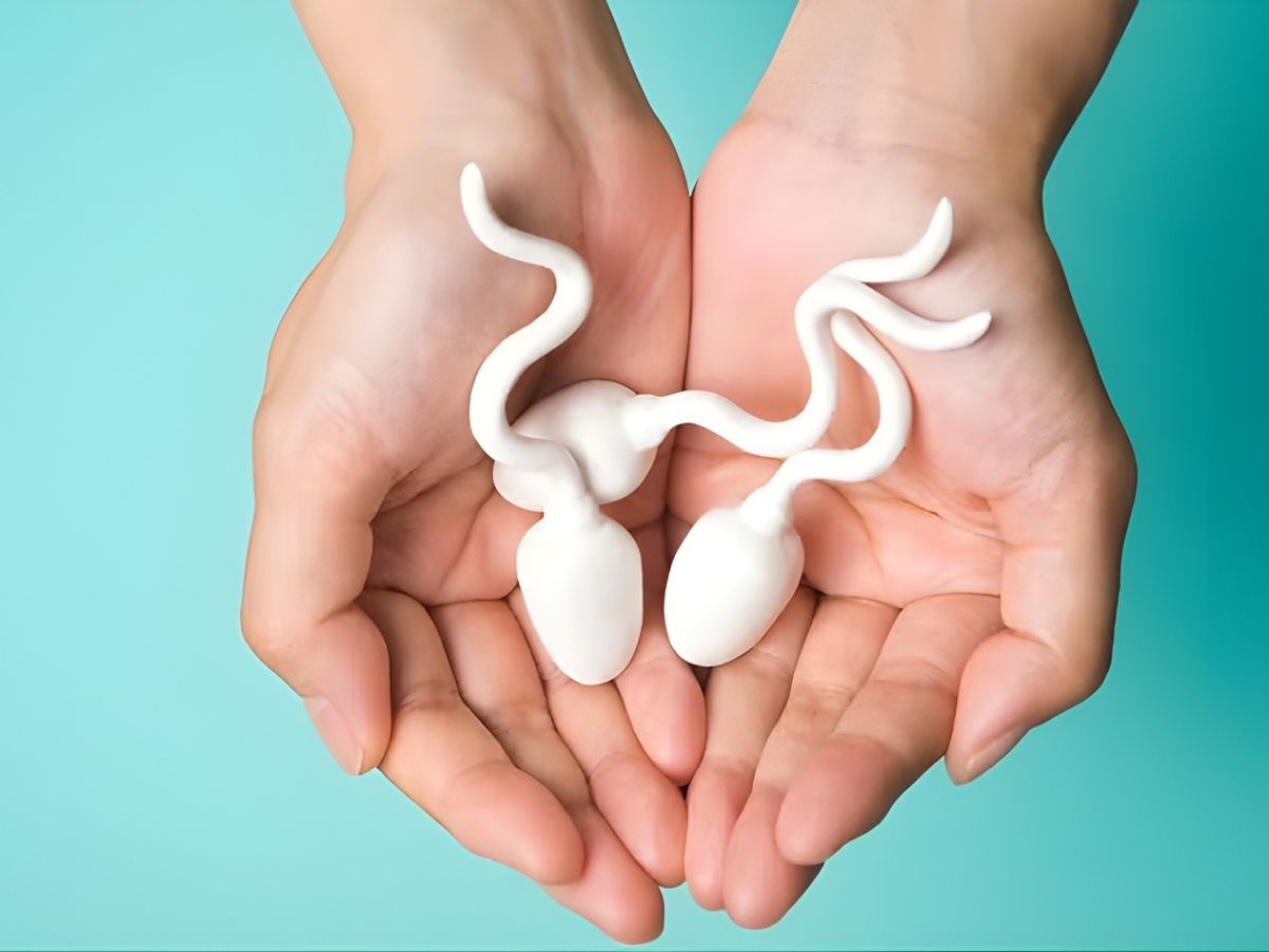 Infertilidad masculina: por qué es clave evaluarla temprano