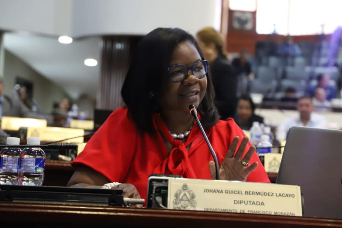 Johana Bermúdez ministra de Salud