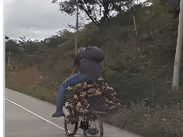 Captan a hombre transportando carga masiva de leña en bicicleta por las calles de Danlí