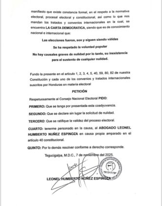 Recurso presentado por Leonel Núñez