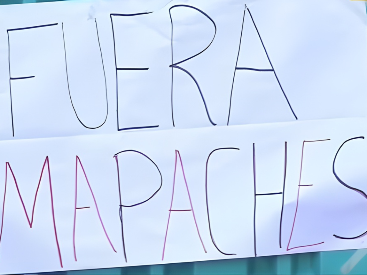 Crisis en el ICF mapaches LIBRE