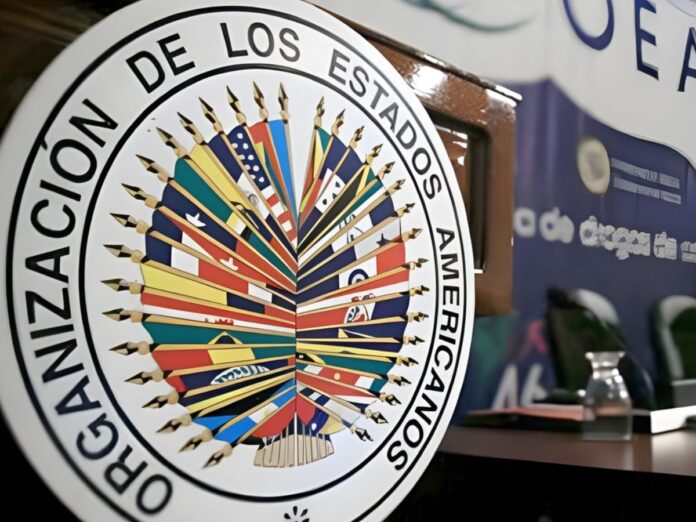 OEA rechaza llamados que alteren el orden público en Honduras