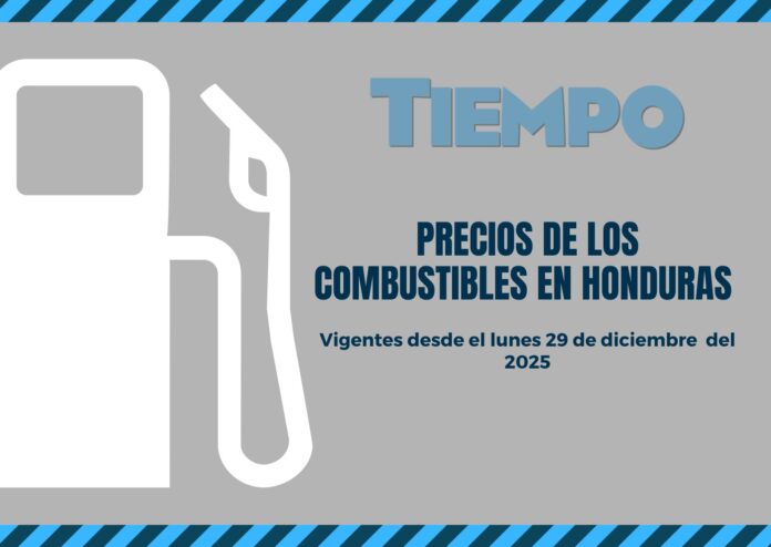 Precio combustibles lunes 29 diciembre