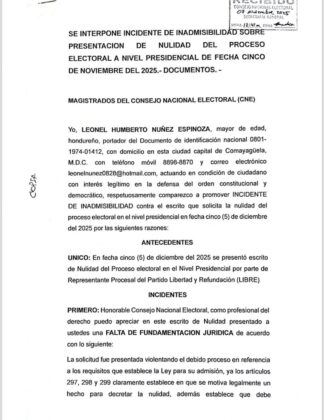 Recurso presentado por Leonel Núñez