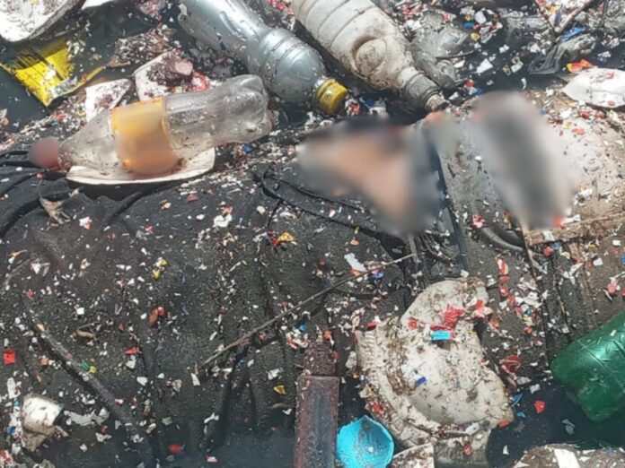 Macabro hallazgo: encuentran cuerpo entre la basura en el río Guacerique