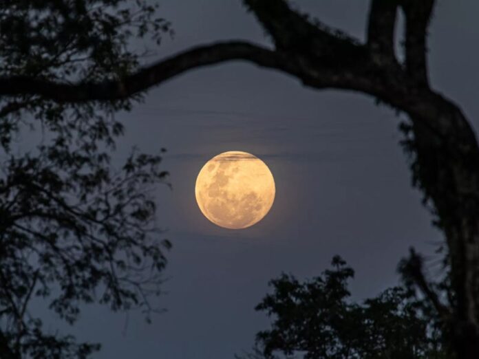 El brillo de la super Luna es mayor, por lo que el ambiente se ve mucho más iluminado por las noches. Foto de cortesía.