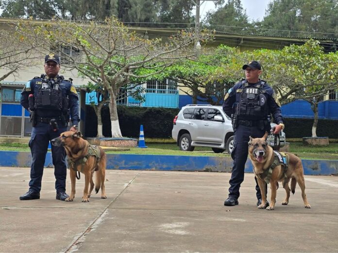 Retiro Turbo Donny policía