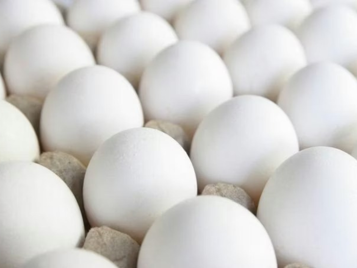 Aumenta el precio de los huevos