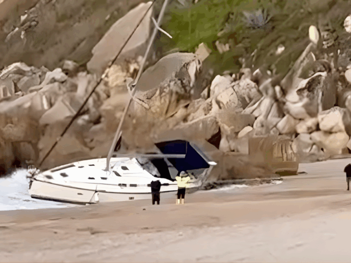 Orcas embisten y destruyen yate en Portugal