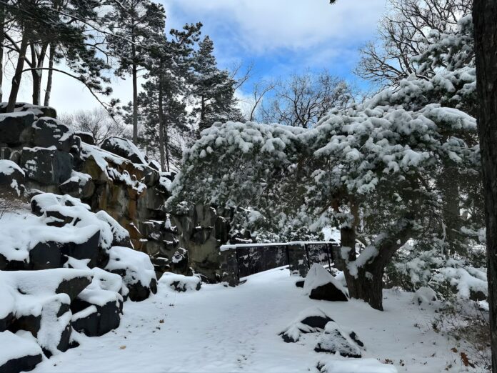 emergencia-en-minnesota
