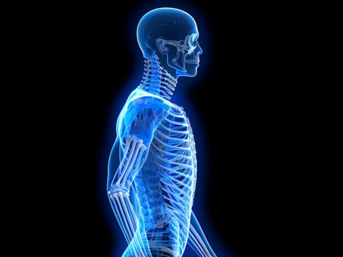 ¿Cómo ayuda la vitamina D a fortalecer los huesos?