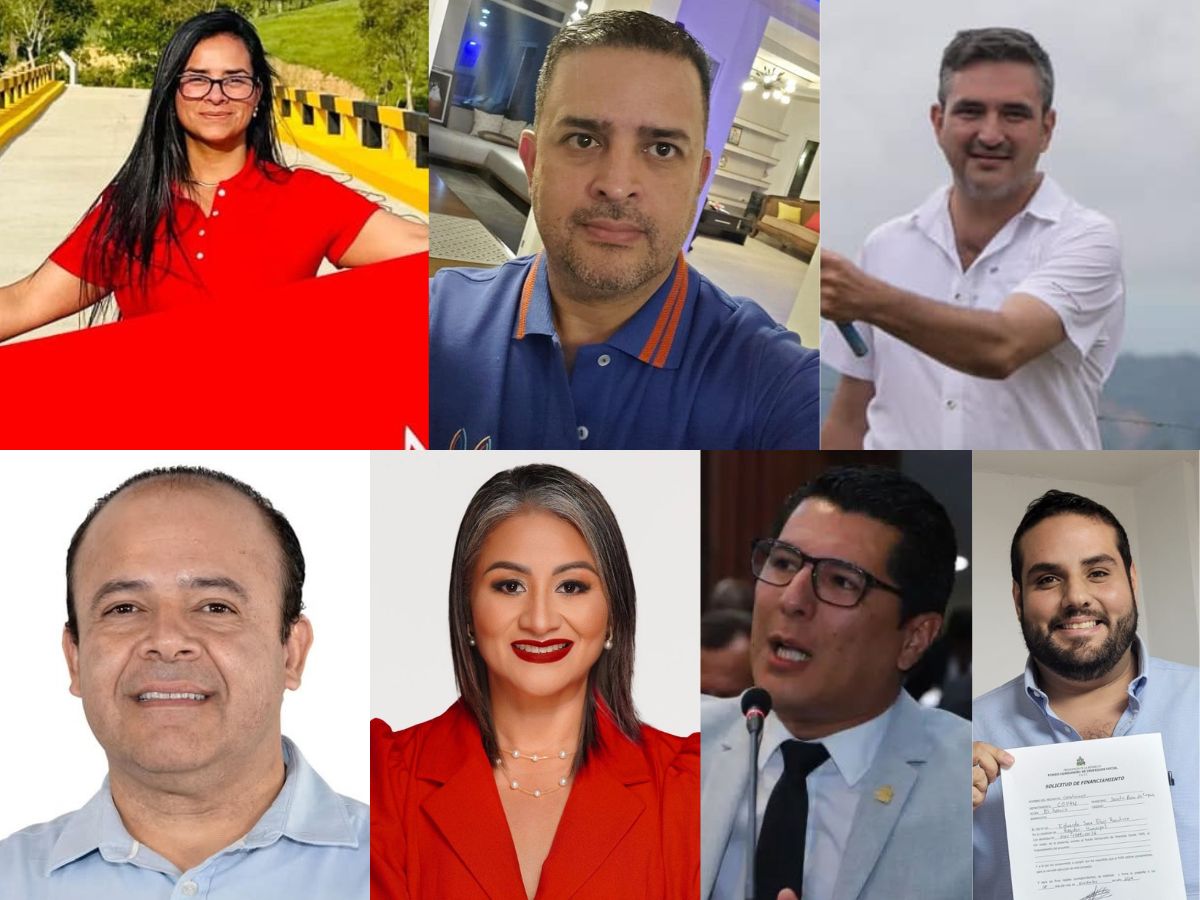 Diputados electos de Copán