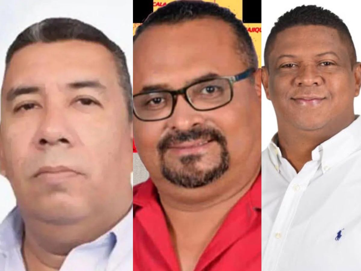 Diputados electos de La Paz