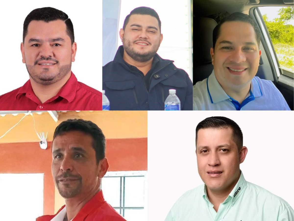 Diputados electos de Lempira